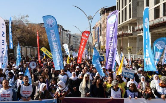 KESK’in Van mitingi |