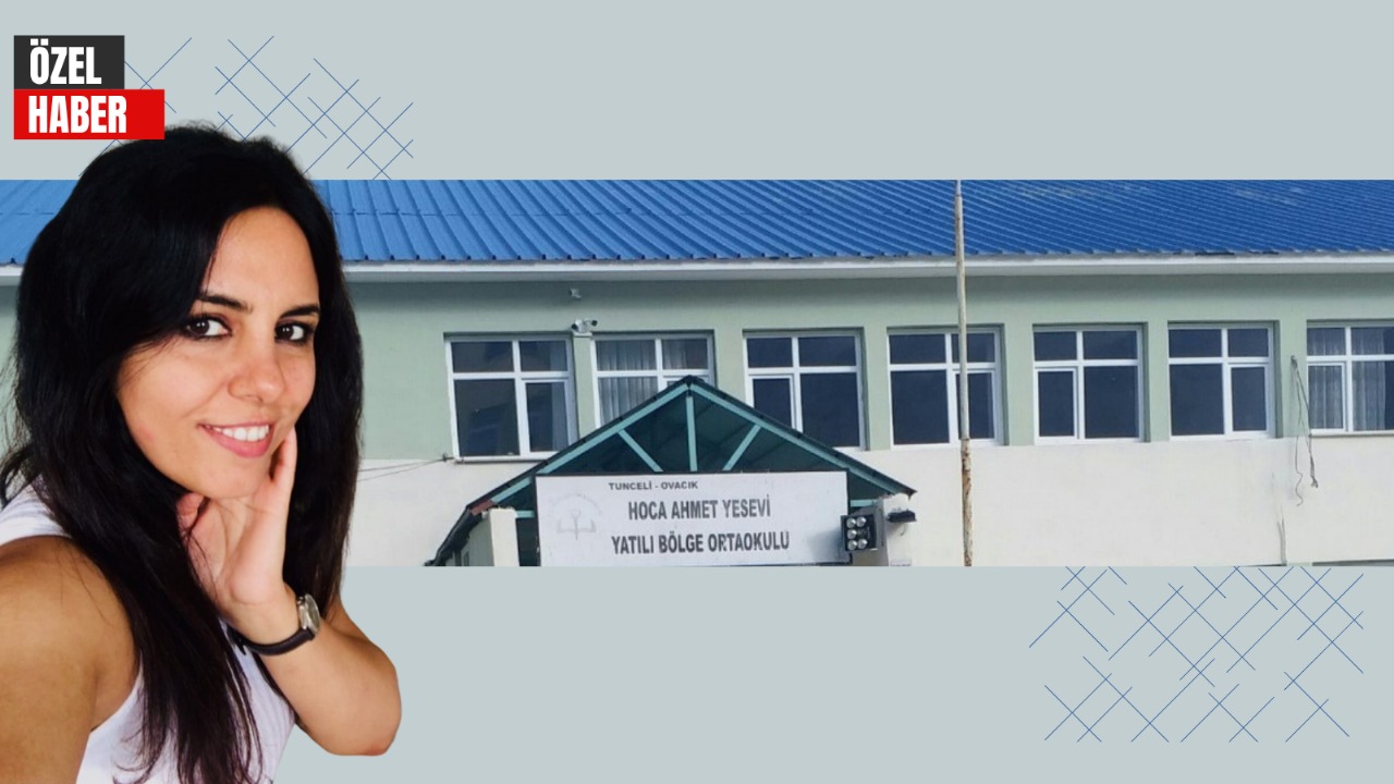 Kayyum kaymakamın gerekçesi 'güvenlik soruşturması' |