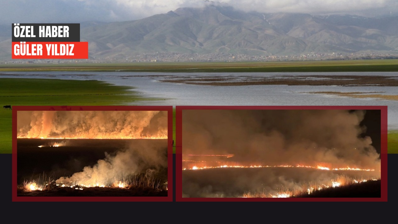 Nehil Sazlığı yanıyor mu yakılıyor mu? |