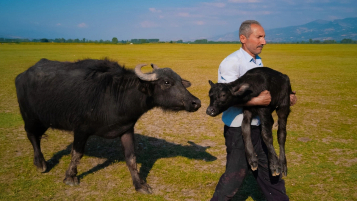Bir annenin yavrusuna bakışı… l