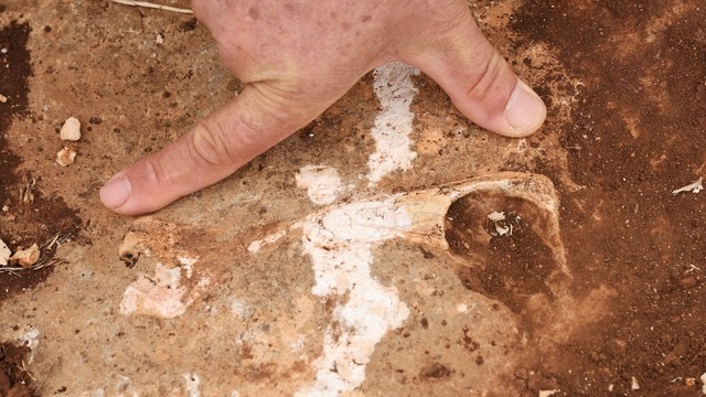 Diyarbakır’da bulundu l