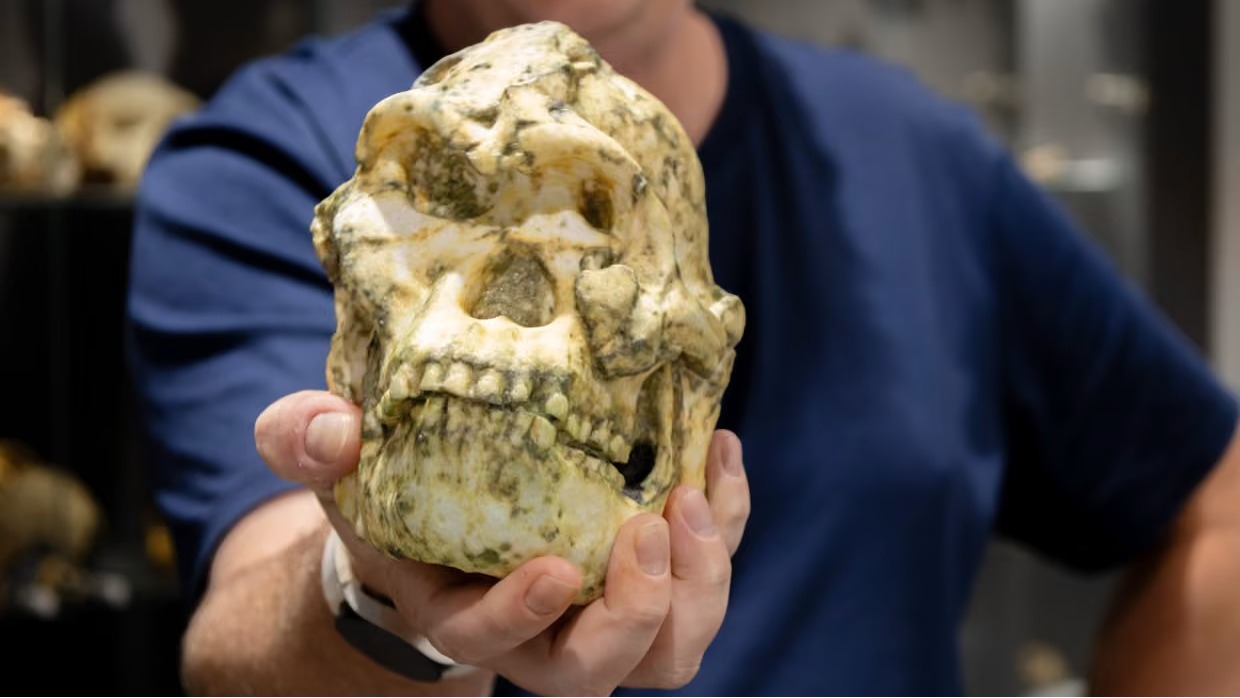 Little Foot yeniden gündemde |