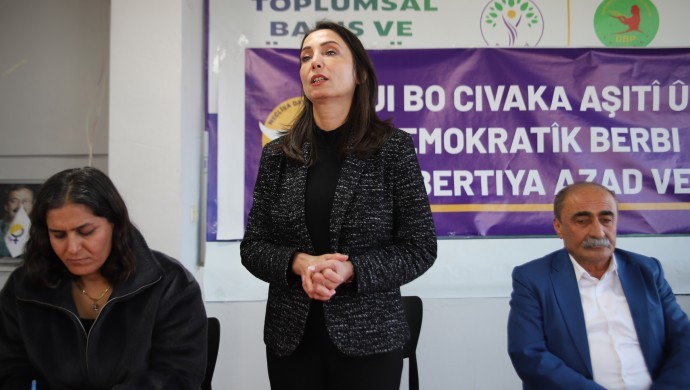 DEM Parti Eş Genel Başkanı Hatimoğulları: — Özel ve kapsayıcı bir yasanın çıkarılması gerekiyor görseli