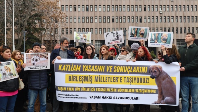 “ABB barınaklarında 17 bin 790 köpek öldü” |