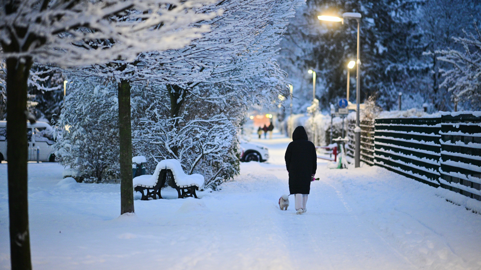 Meteorologlardan Avrupa için sert kış uyarısı |