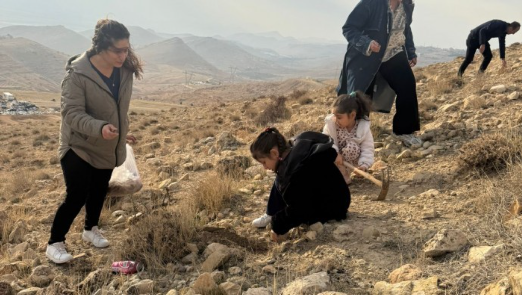 Yangının yarasını meşe palamudu saracak I