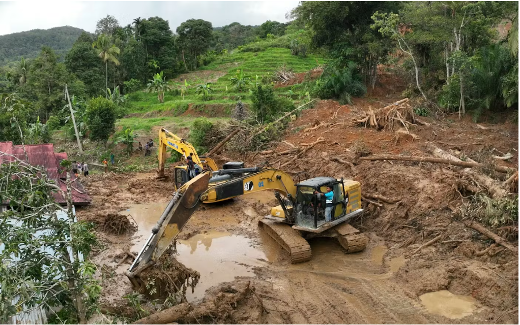 Selin sebebi ormansızlaşma I