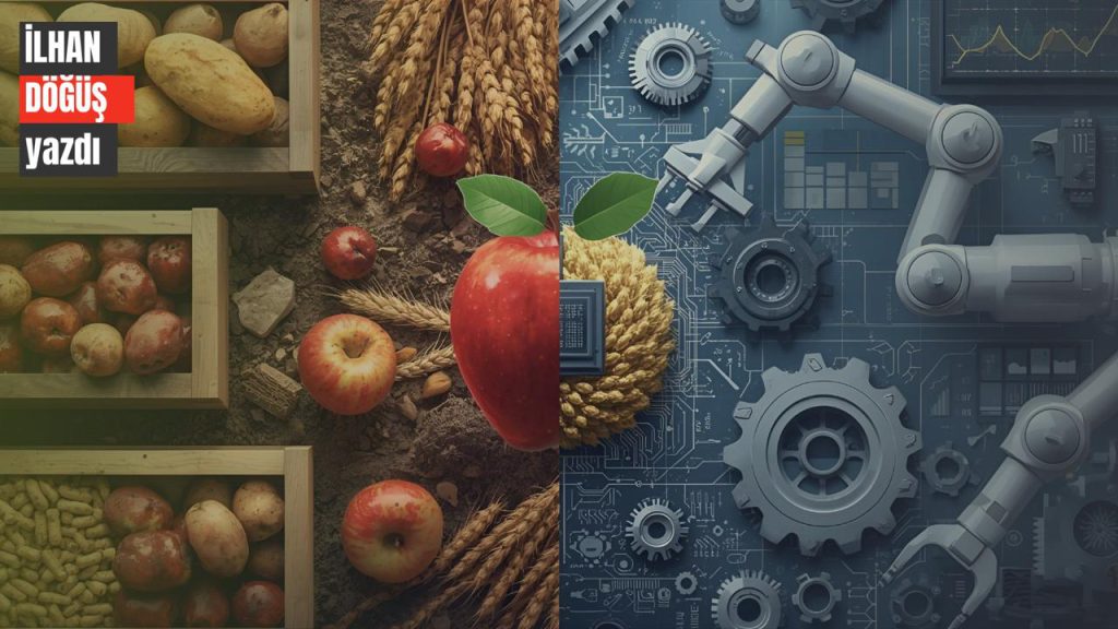 WhatsApp Image 2025-12-14 at 06.44.11