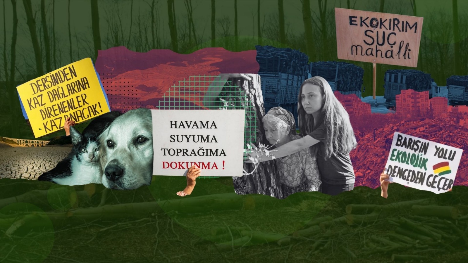 2025 PANORAMA | Ekoloji- Çevre Mücadelesi