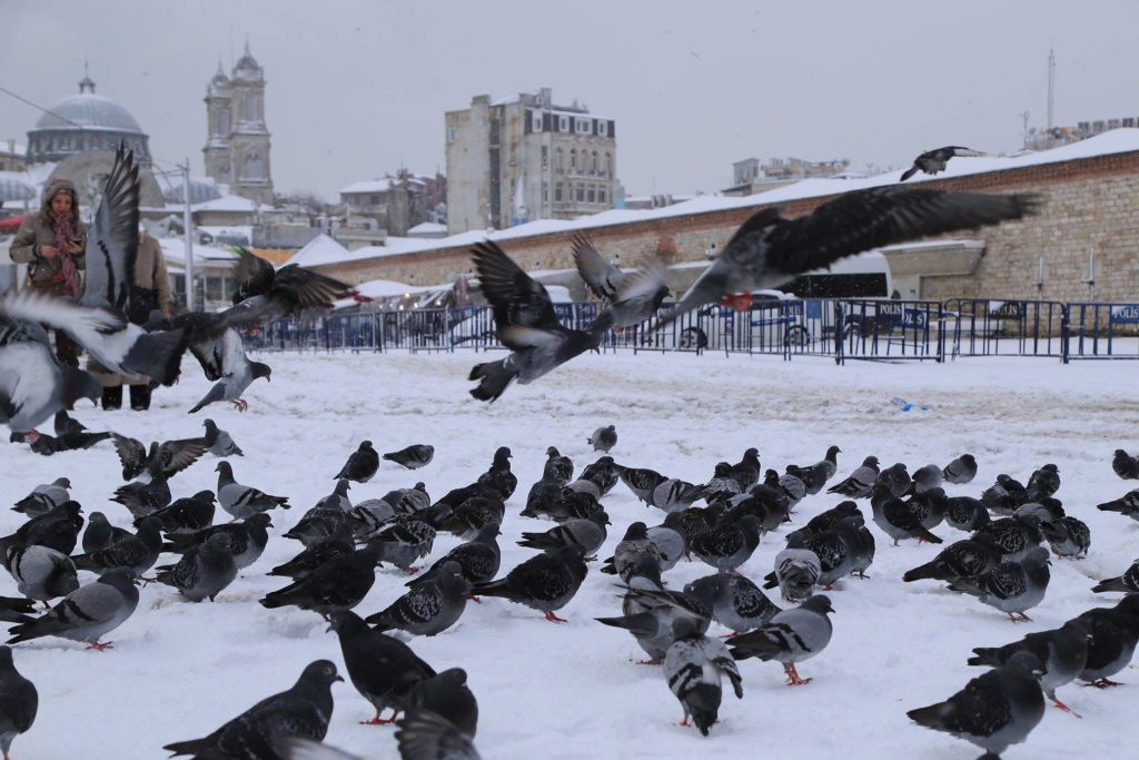 WhatsApp Image 2025-12-31 at 13.53.06