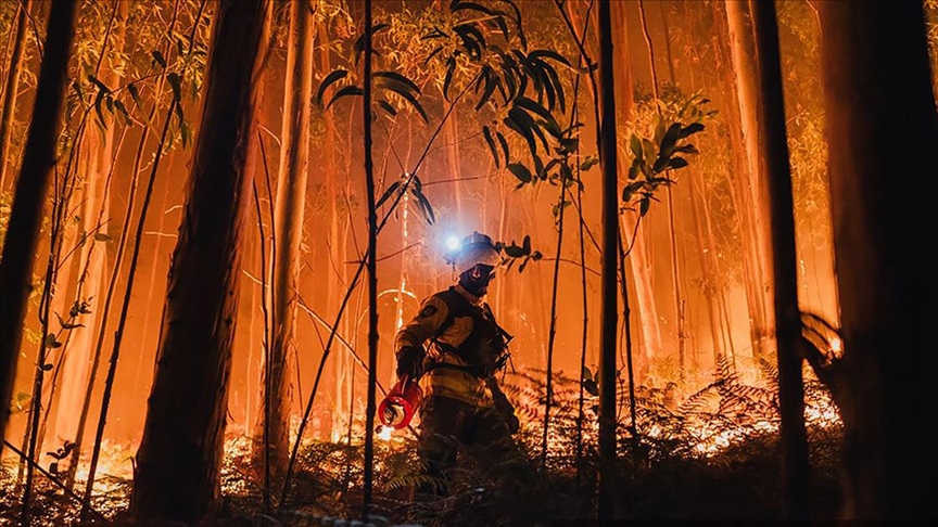 2025’te orman yangınları |