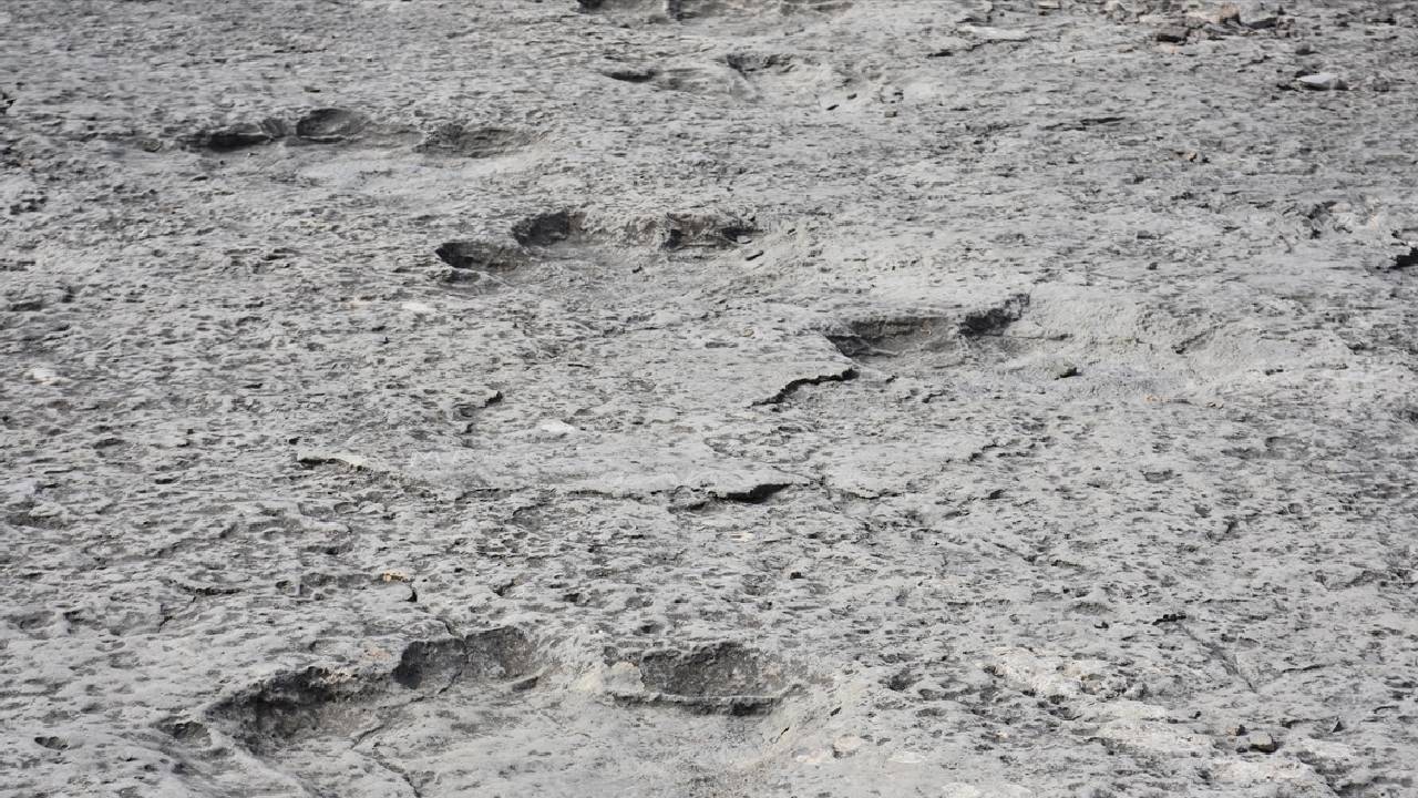 İtalya’da bulundu: 200 milyon yıldan eski |