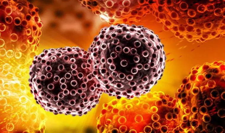 Ağrı ilk sırada l