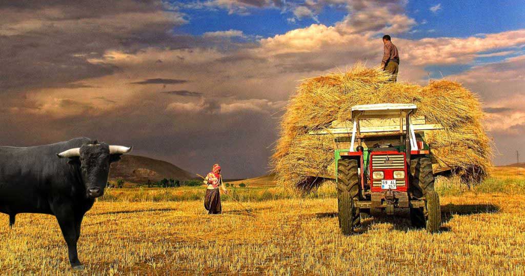 Tarımsal girdilerde artış sürüyor |