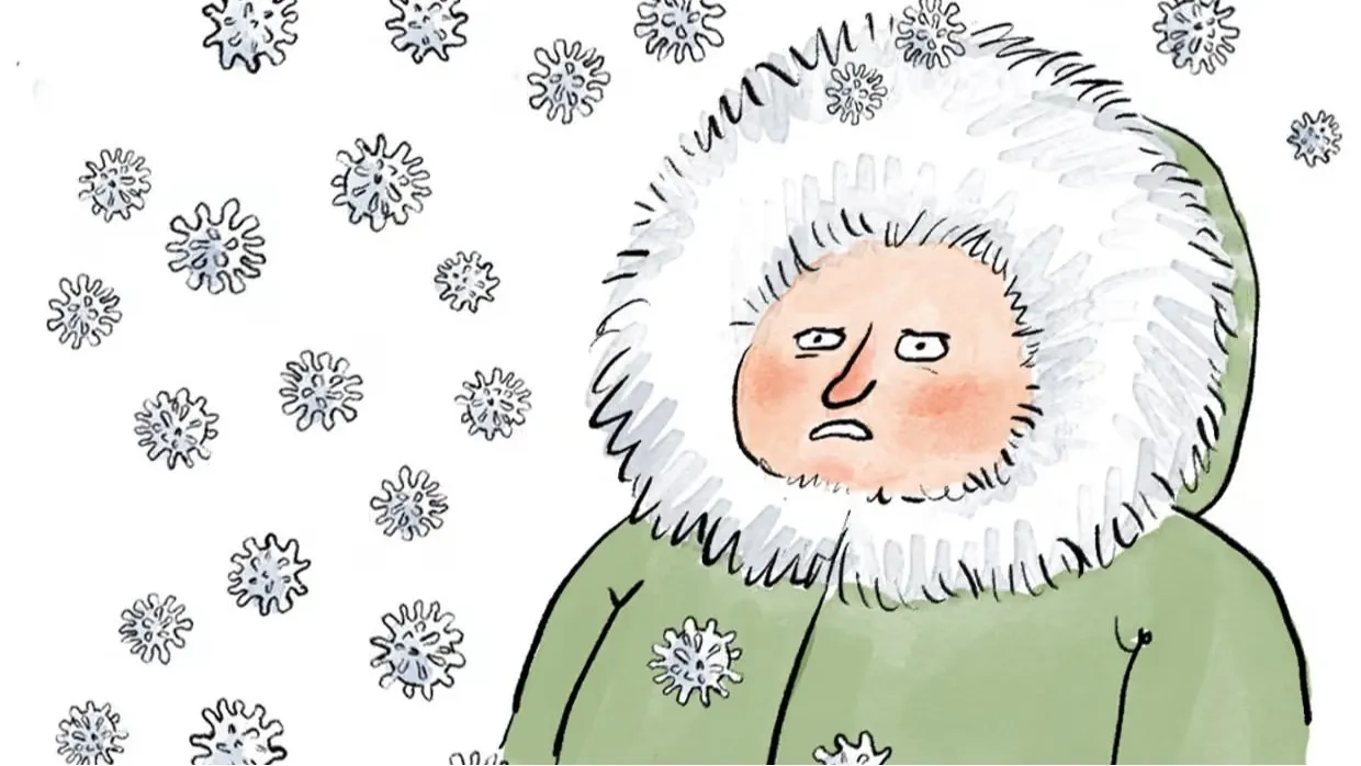 Uzmanların yorumu |