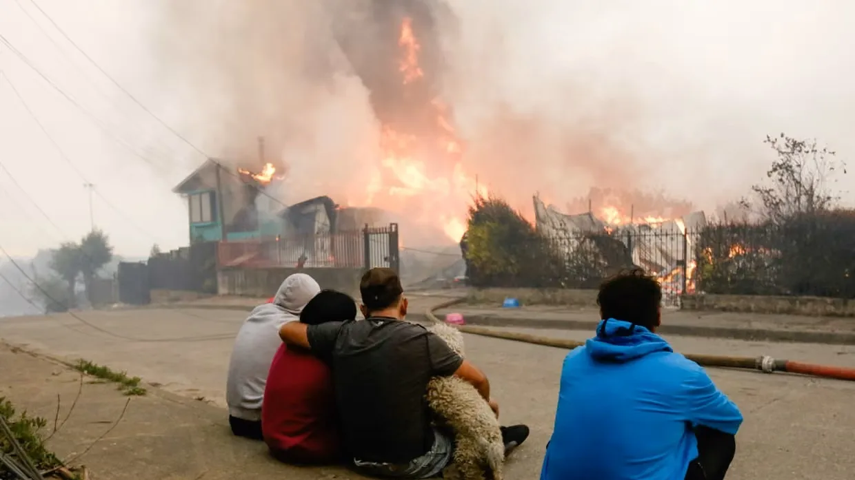 Şili’de orman yangınları |