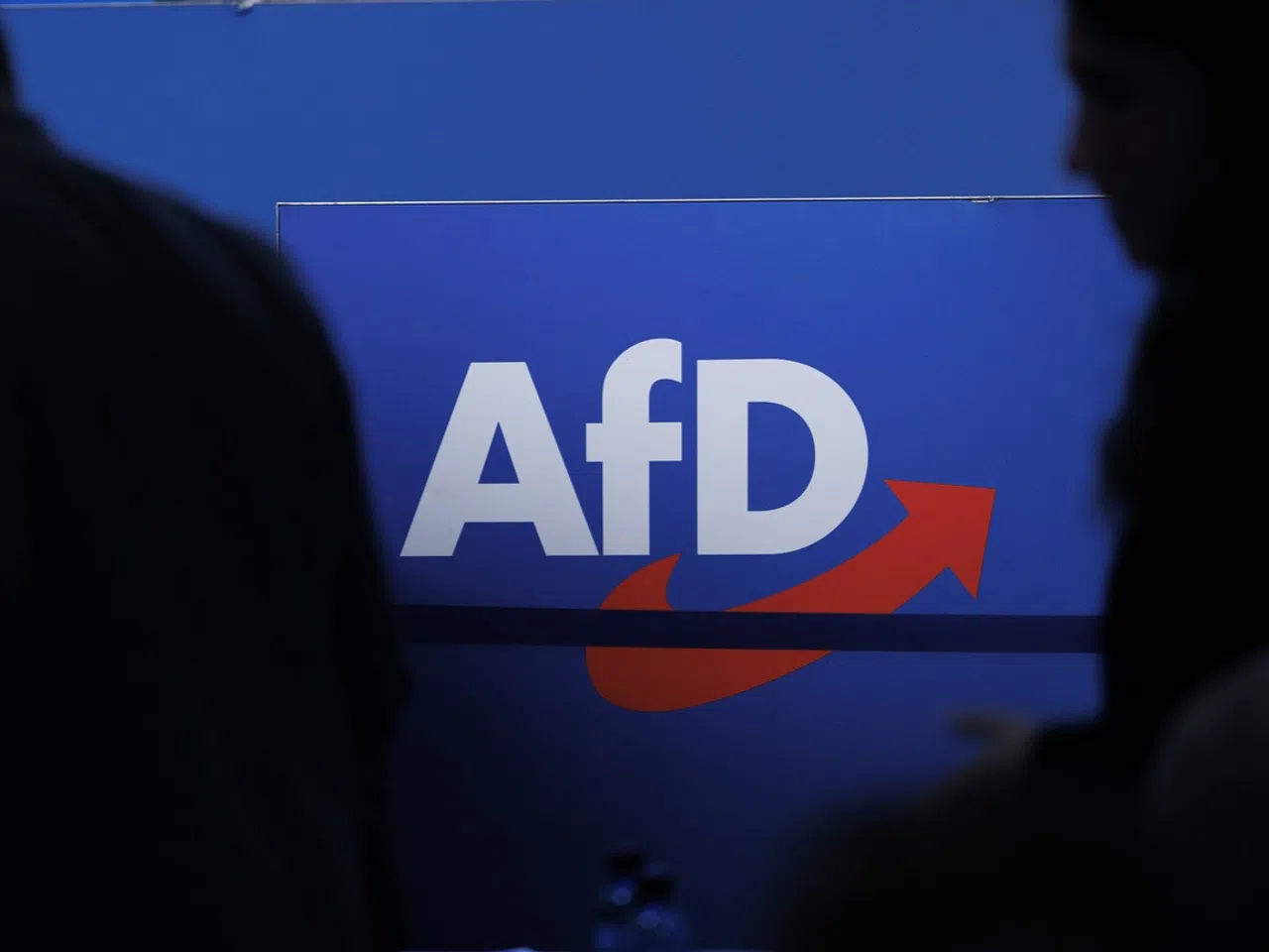 AfD’nin “aşırı sağcı” etiketi şimdilik askıda |