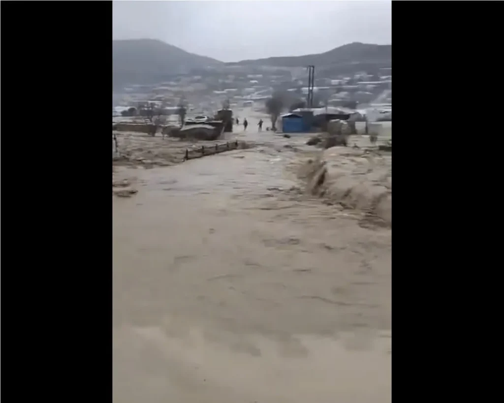 Ekran görüntüsü 2026-02-08 135021