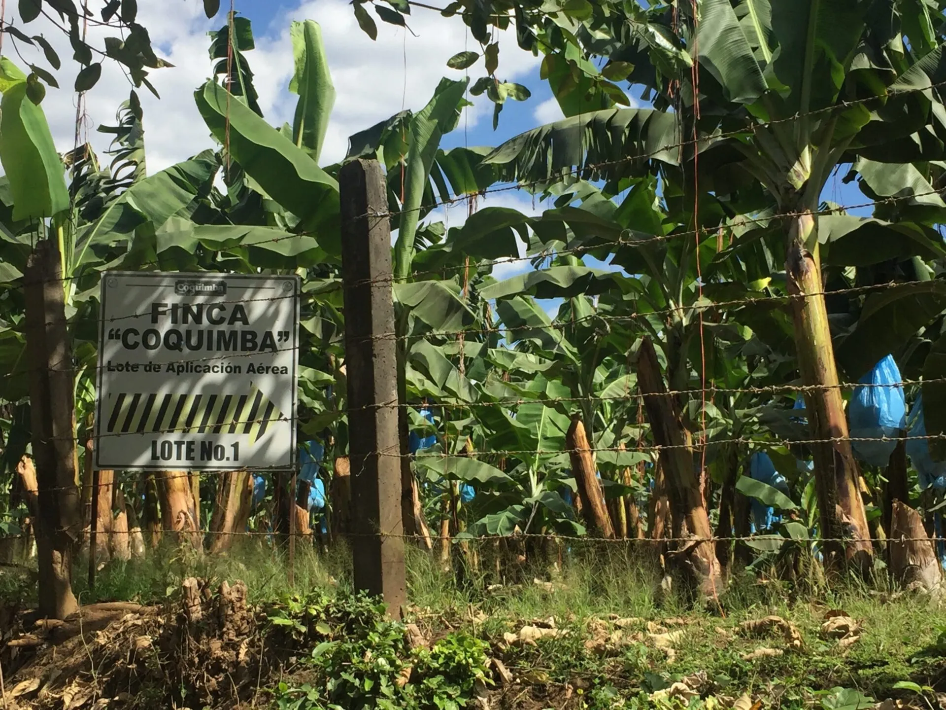 Fransa’da temyiz şoku |