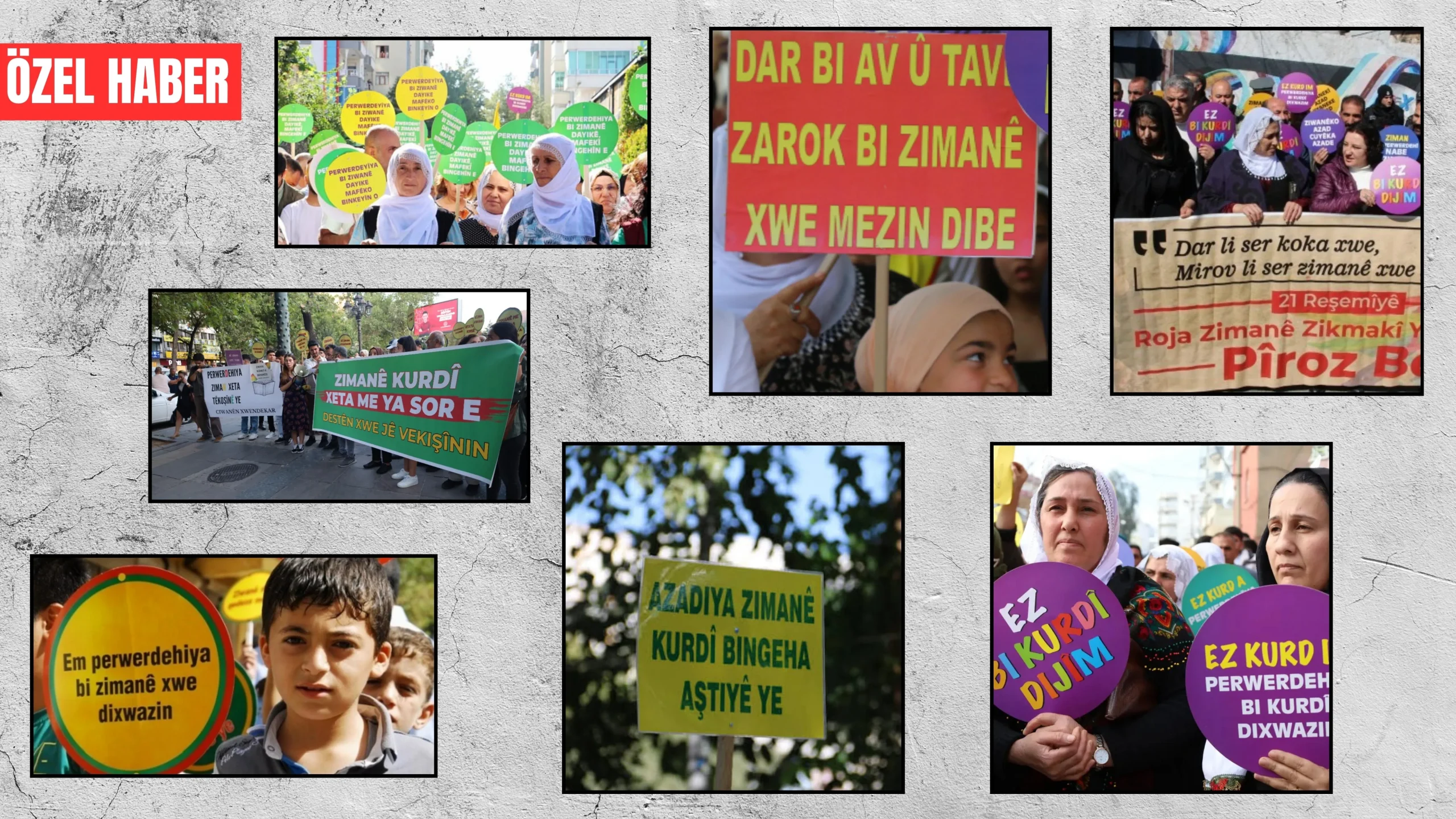 21 Şubat Dünya Anadil Günü |