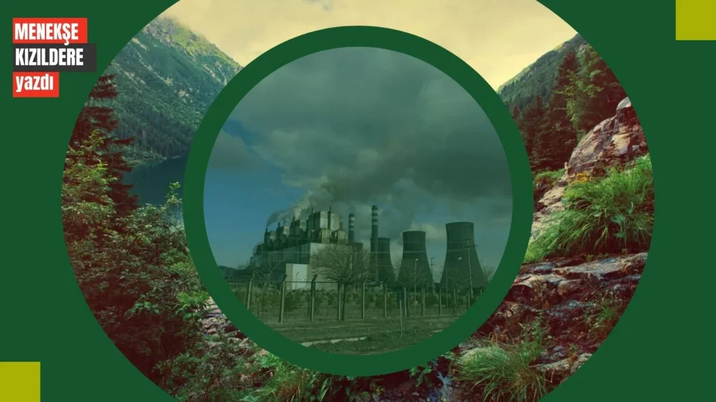 WhatsApp Image 2026-02-25 at 06.50.42