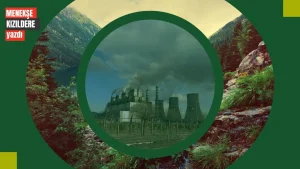 WhatsApp Image 2026-02-25 at 06.50.42