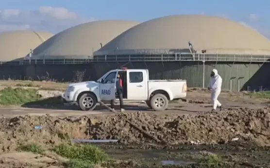 Amasya iş cinayeti |