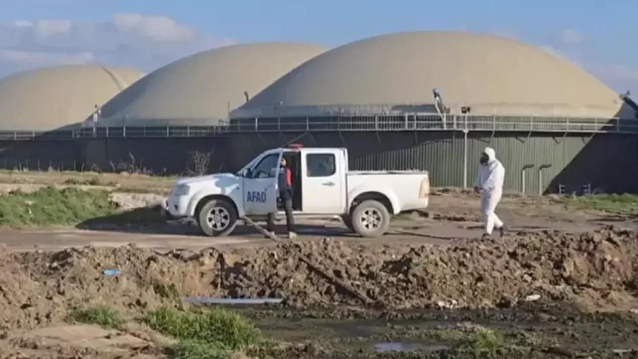 Amasya iş cinayeti |