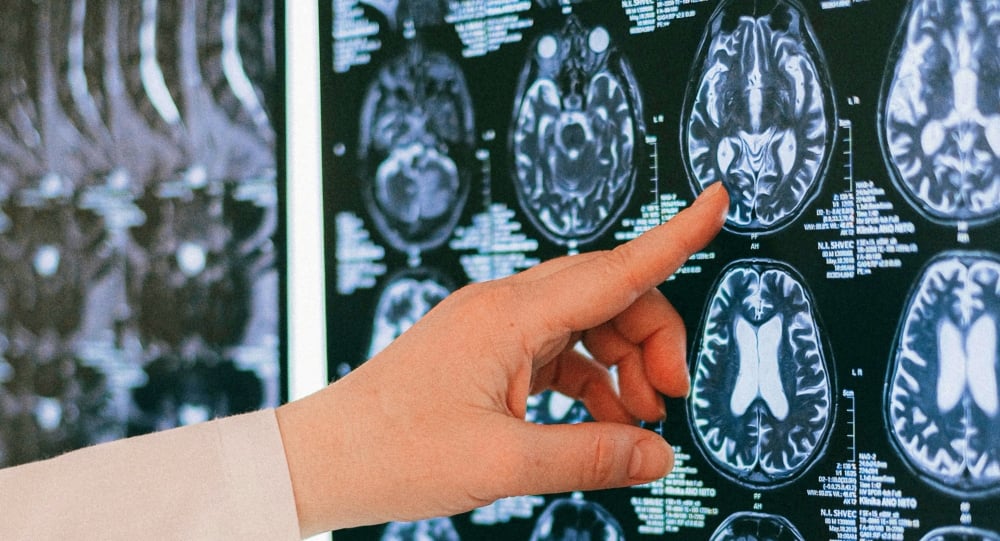 Araştırma insan davranışına dair yeni ipuçları veriyor |