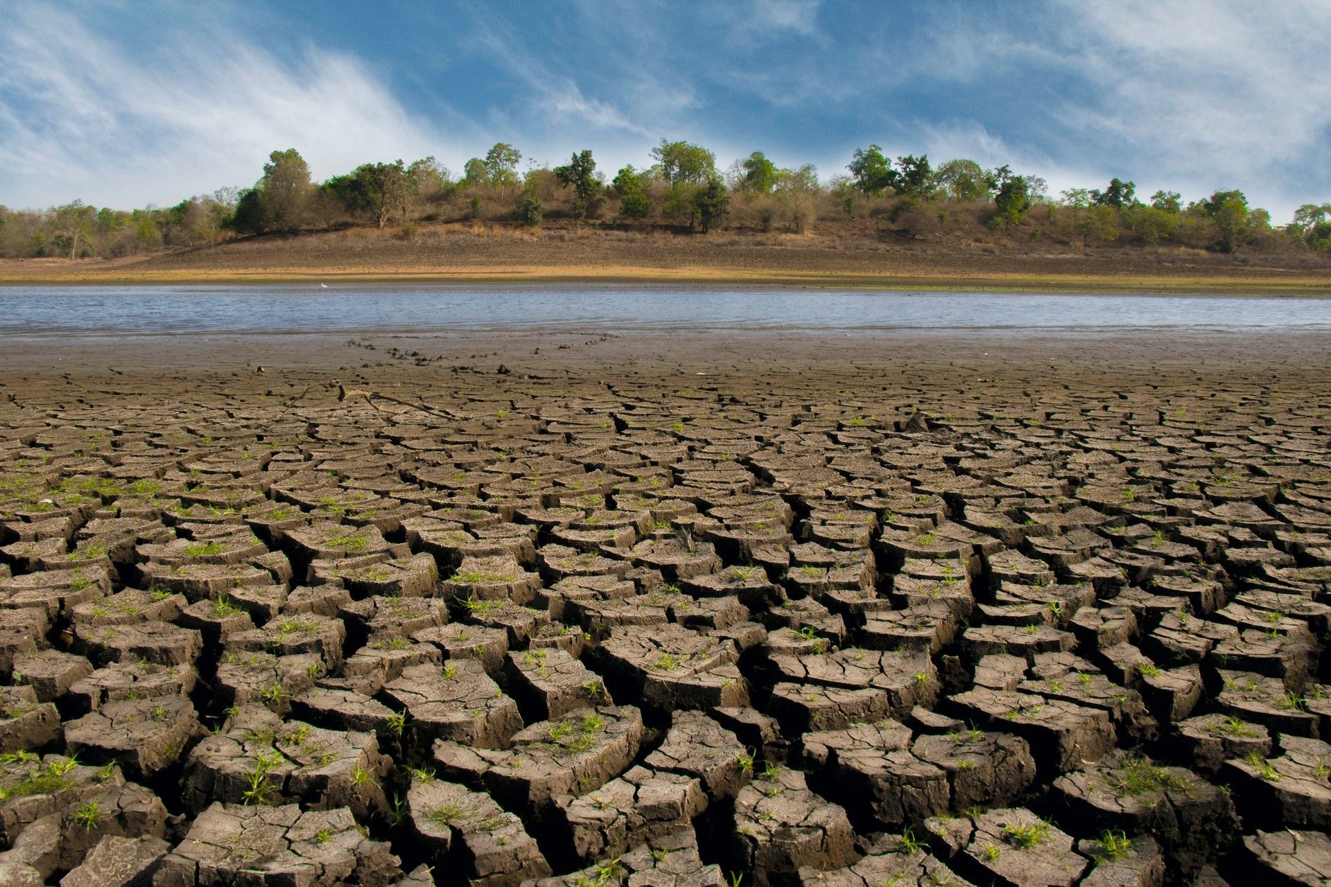 Dünya ısınmaya devam ediyor |