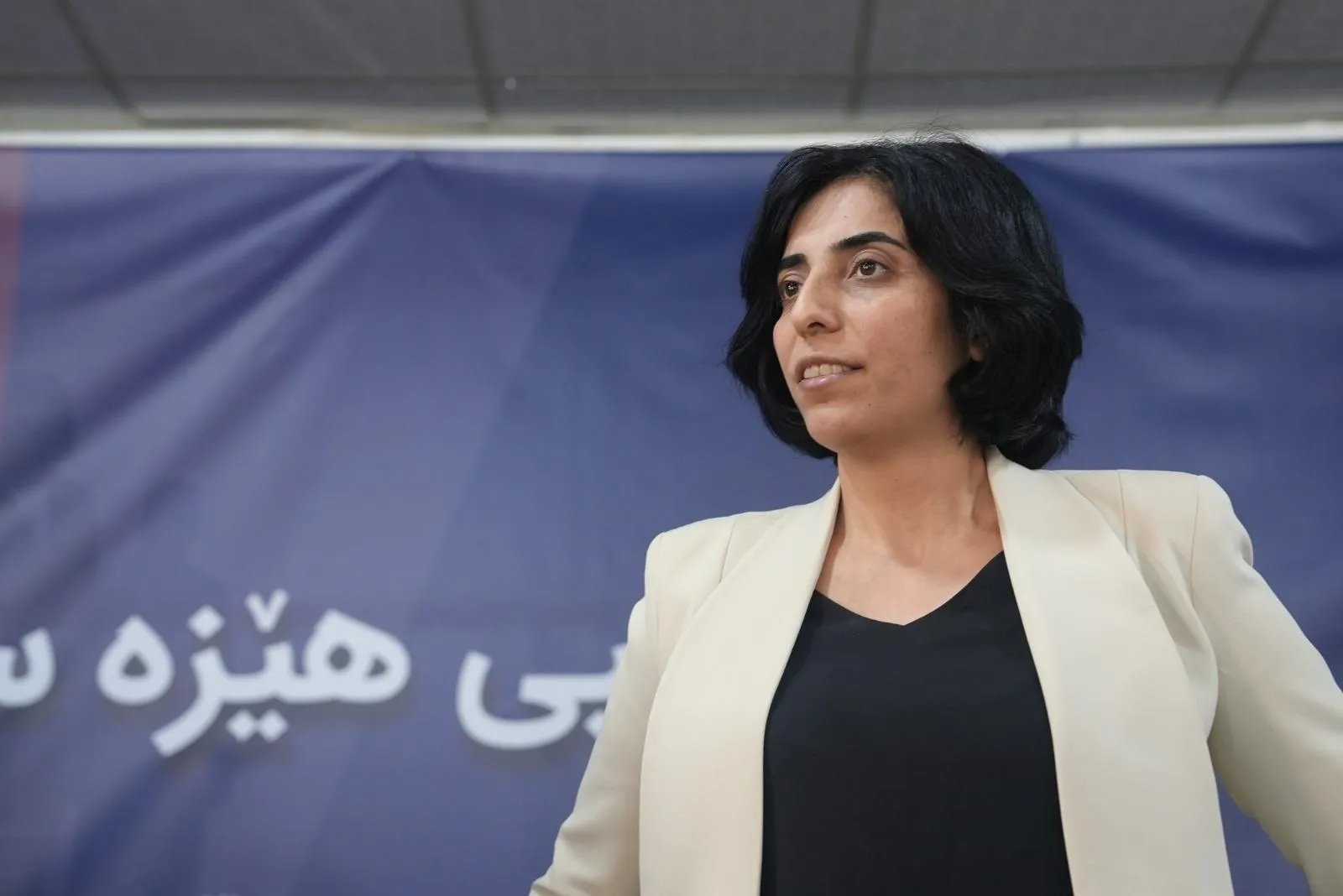 PJAK Eşbaşkanı Viyan: