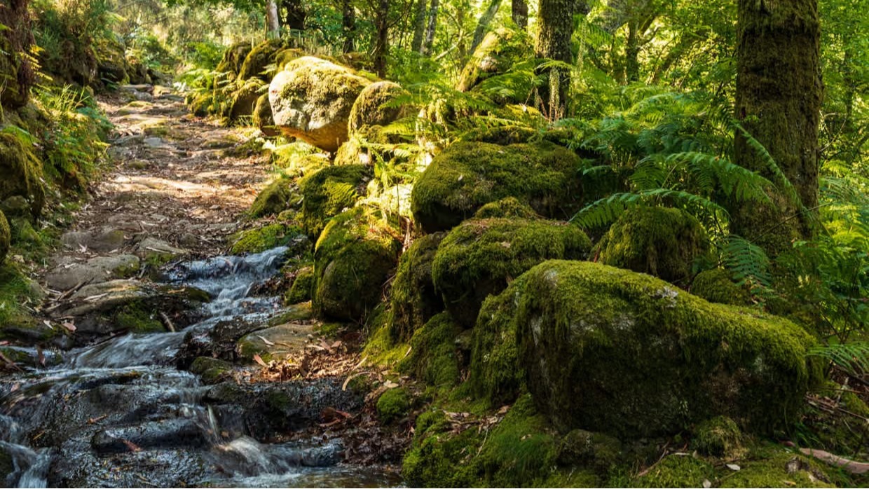 AB Adalet Divanı’ndan Portekiz kararı |