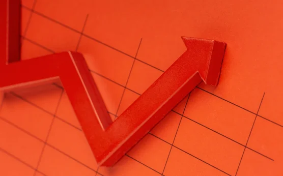 TÜİK verileri açıkladı l