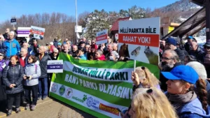 Güncel Haberler, Son Dakika, Köşe Yazıları görseli