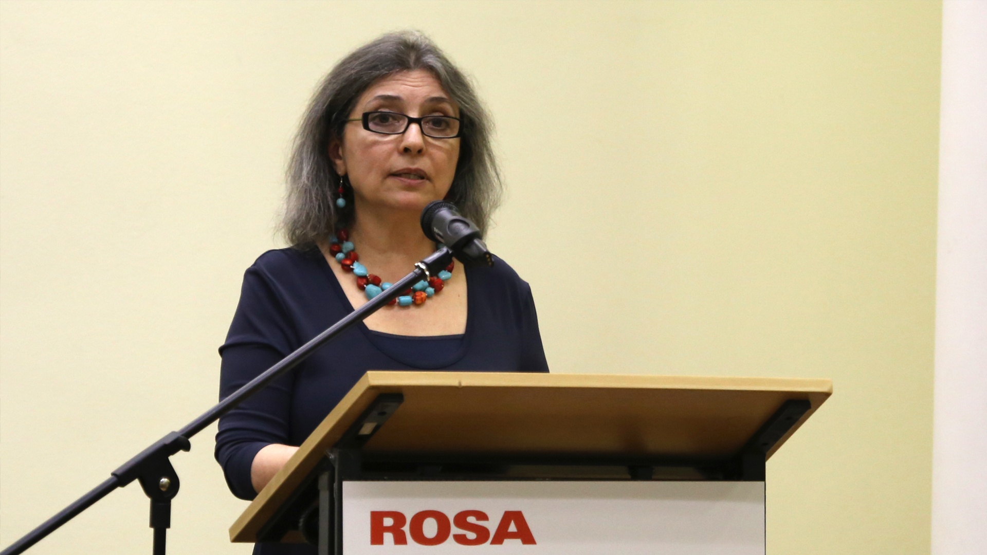 Shahrzad Mojab’tan ‘dış müdahale’ vurgusu: